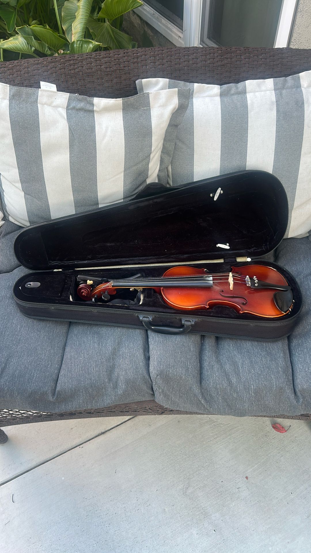 Violin