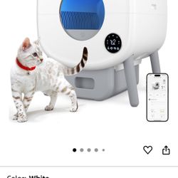 Cat Litter Box 