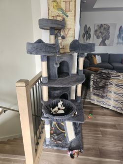 CAT HOUSE