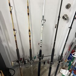 Deep sea rod and reel