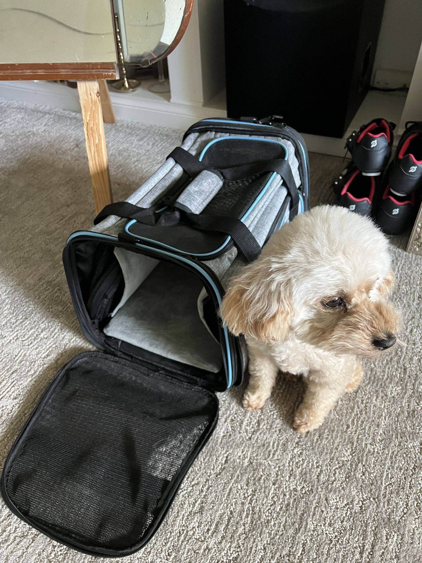 Travel Small Dog Bed