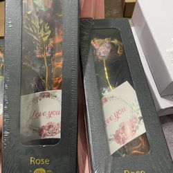 Iridescent Rose