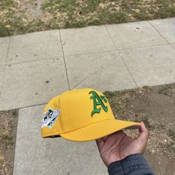 Fitted Hat