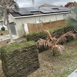 St Augustine Floratam