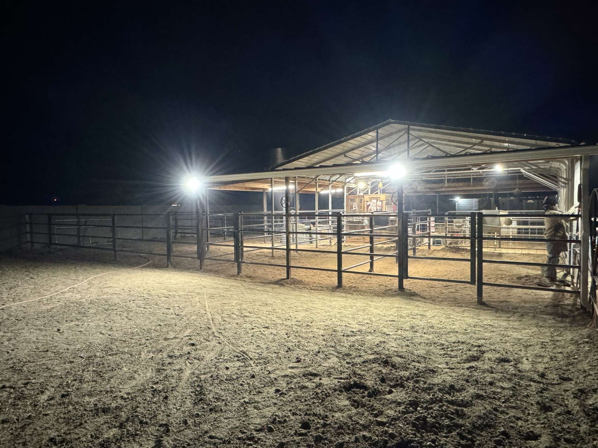 Metal Horse Stalls
