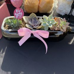 Succulent Wine Bottle Valentines Gifts 💝 20.00