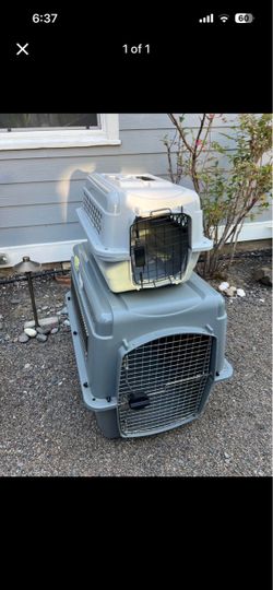 Two Pet Carriers Dog Crates Set