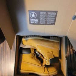 Timberland 6" Waterproof Butters Brand New 100%AUTHENTIC! Sizes 9,10 &12 $170