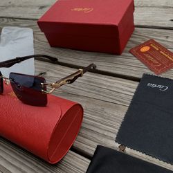 Sunglasses 