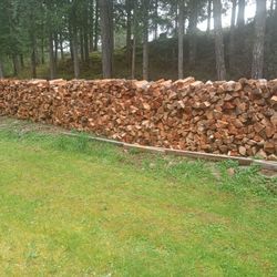 Firewood 