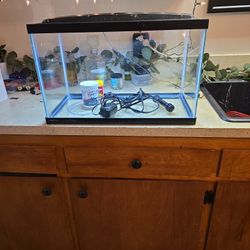  Fish Tank