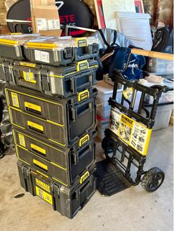 DeWalt tough system 2.0