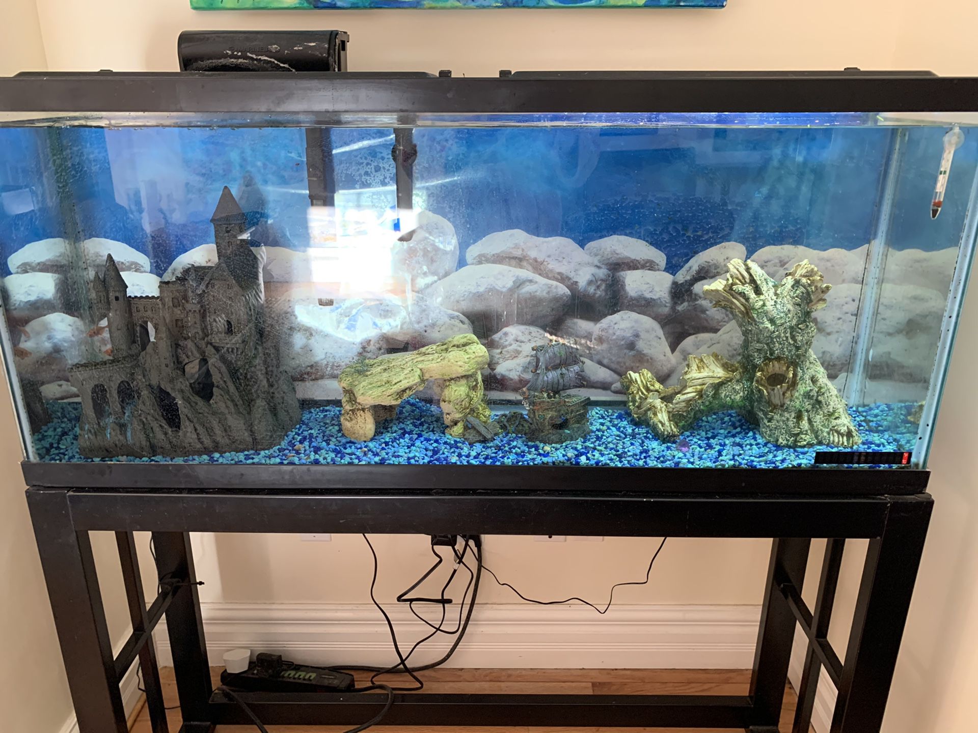 50 gallon tank/ with pump and stand /led lighted hood