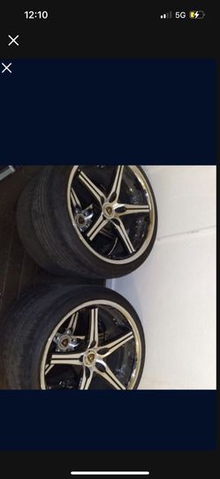 RIMS