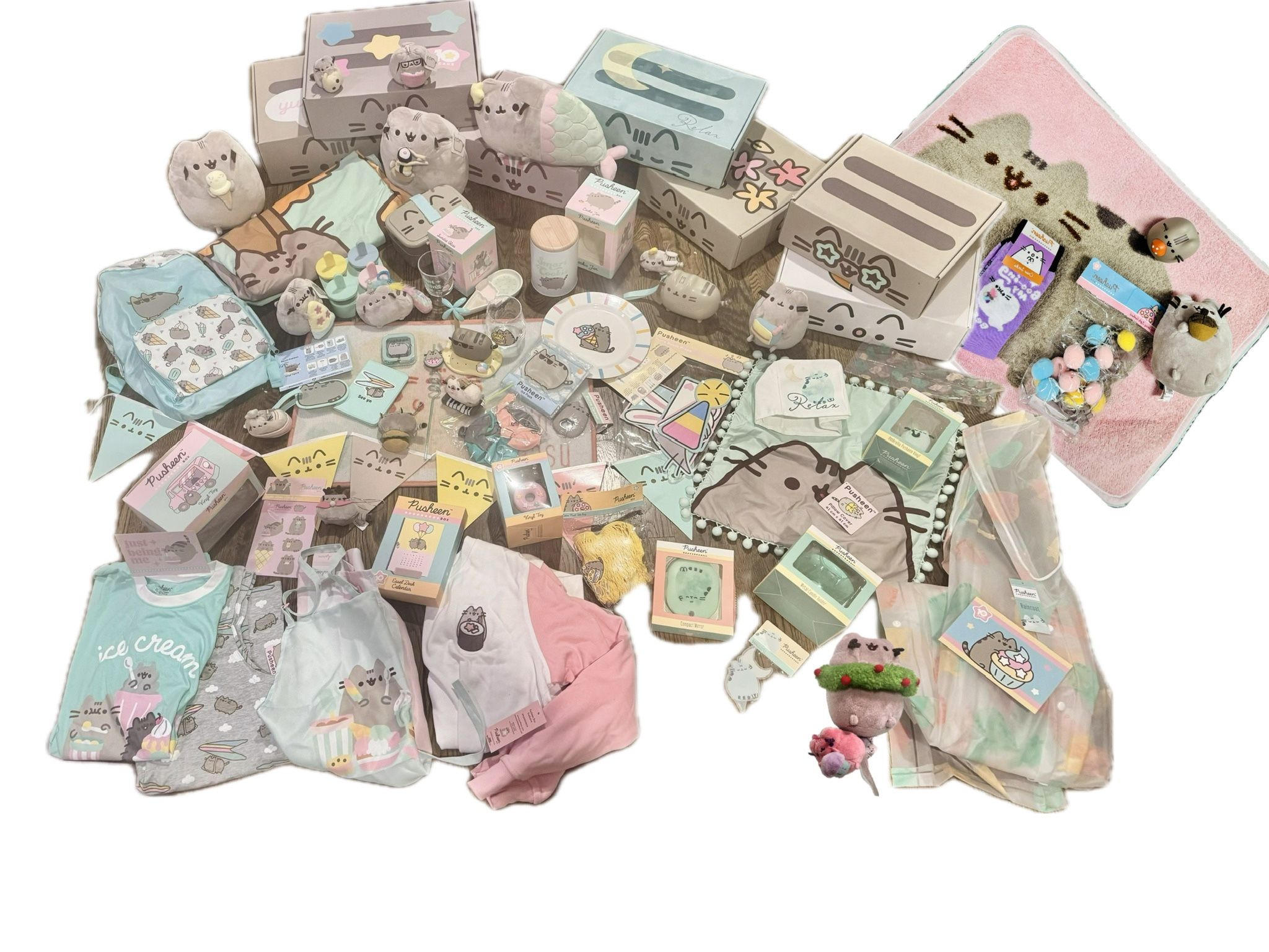 Pusheen Subscription Box Collectibles And Plushies