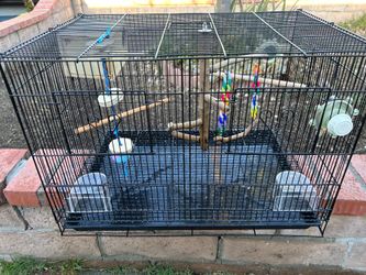 Cage