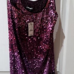 Express  Party Dress