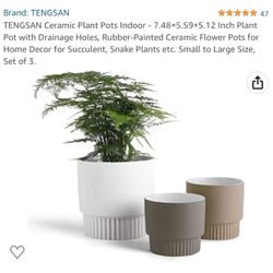 TENGSAN Ceramic Plant Pots Indoor