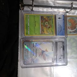 Pokémon card's 