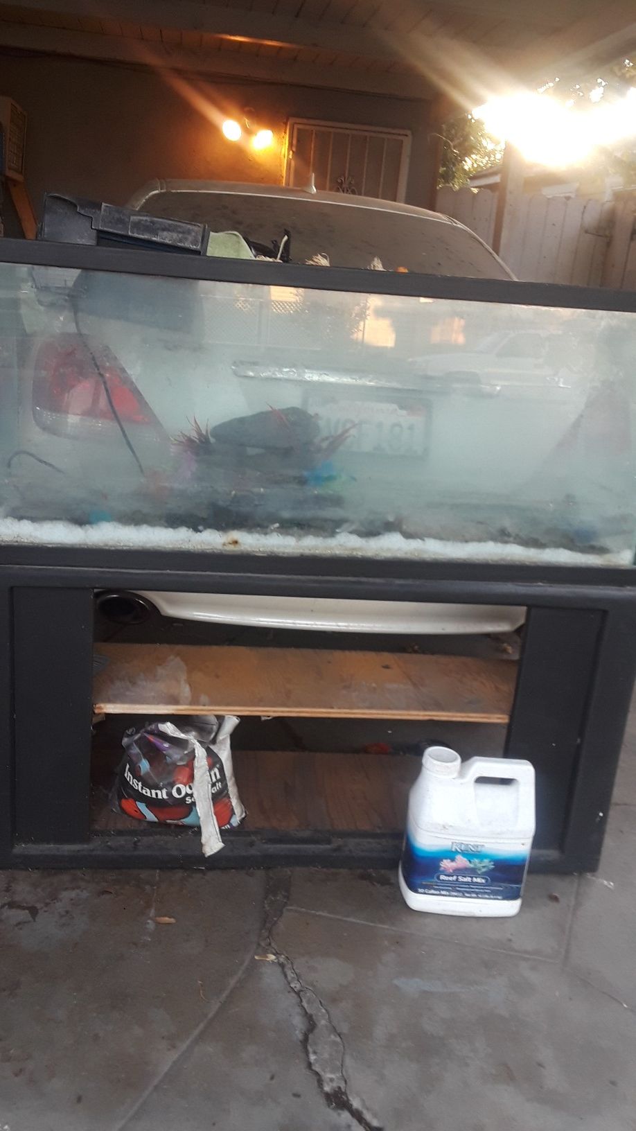 55 gallon fish tank