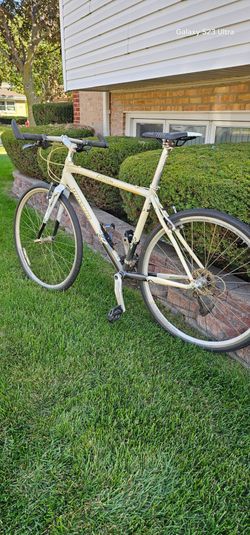 Novara express xx.  20" frame