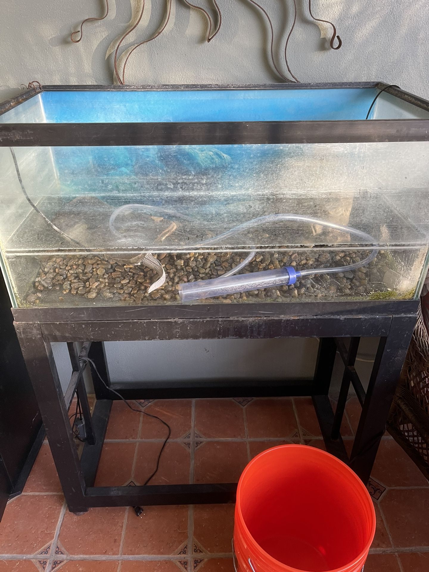 45 Gallon Fish/Turtle Tank