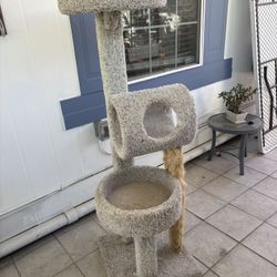 Cat Tree