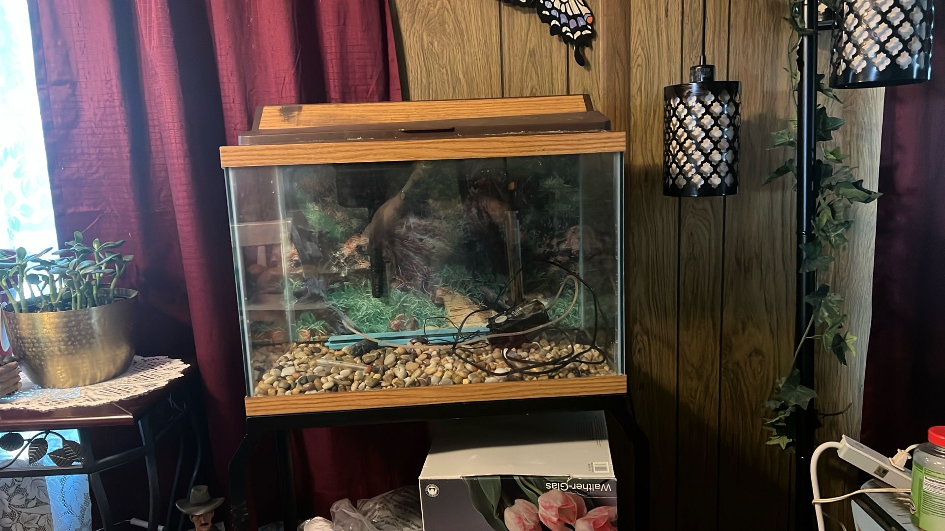 20 gallon aquarium needs cleaning but everything you need to heat the filter the rocks and pump