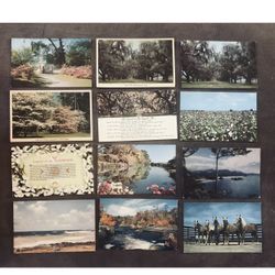 12 Vintage Unused U.S. Postcards