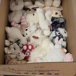  Stuffed Animals  Free