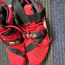 LeBron Soldier Size 9.5