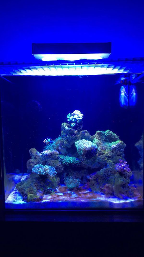 wavemaker for 55 gallon tank wavemaker for 55 gallon tank