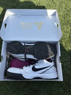 kobe 4 size 12