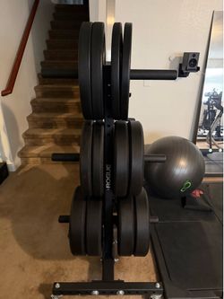Rogue 350 lb Hi Temp Weight Plate Bumper Set