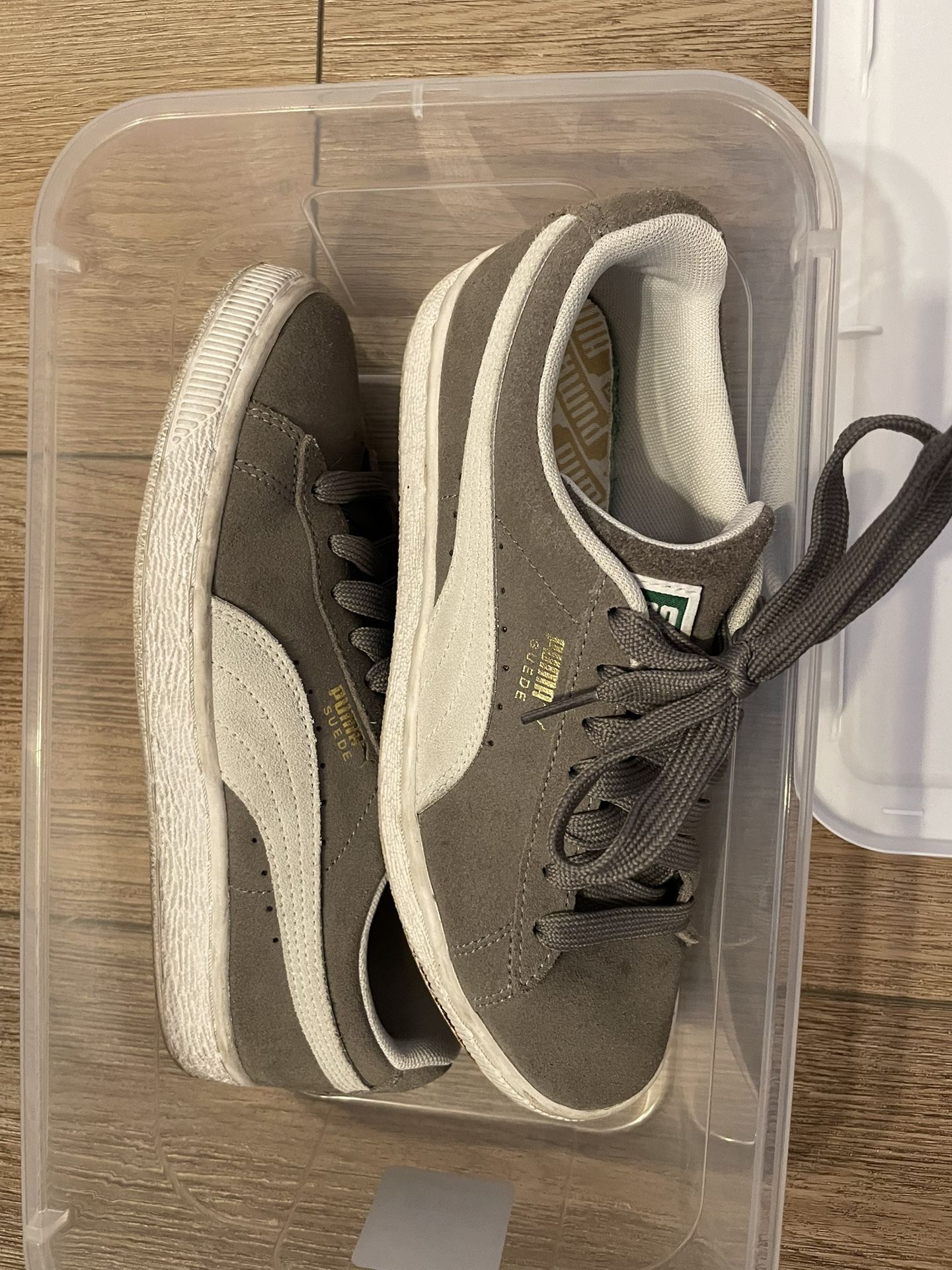 Gray Pumas