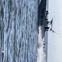 Well Craft Scarab 30ft 