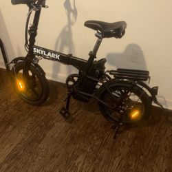 Skylark Electric Bike 