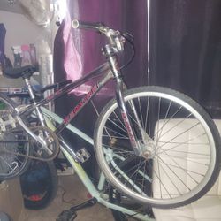 Redline 20" Mini All Original 