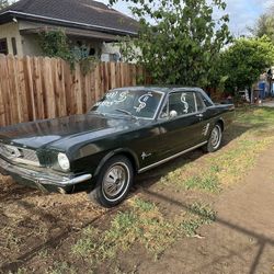 Ford Mustang  1966