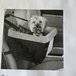 Dog Car Seat