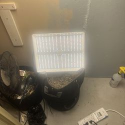 Mars Hydro Grow Light 