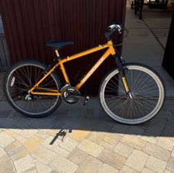 Diamondback Mountain Bike