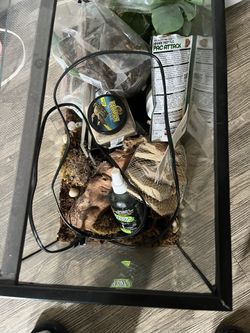 Reptile Tank