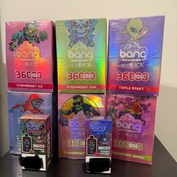Bangss 3600 