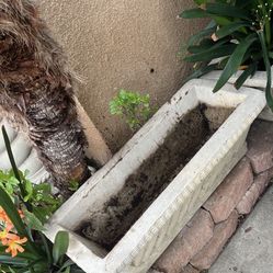 Planter