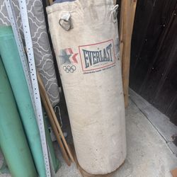 Punching Bag