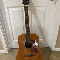 Washburn D11AN
