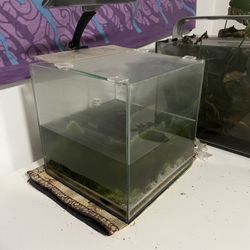 1 Gallon Rimless Aquarium 