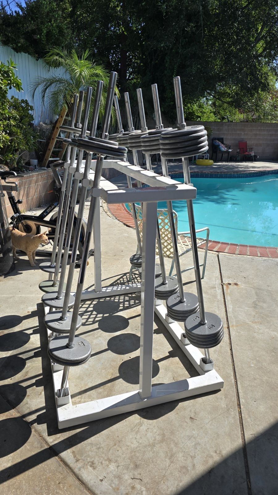 Weight With Barbells