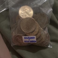34 Sacagawea $1 Coins